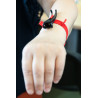 Hairdresser tool-band for sectioning-clips